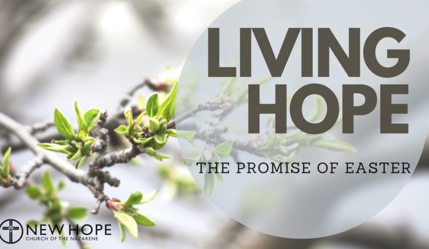 Living into our Easter Hope